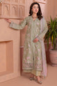 Sage Green Pakistani Plus SIze Dress