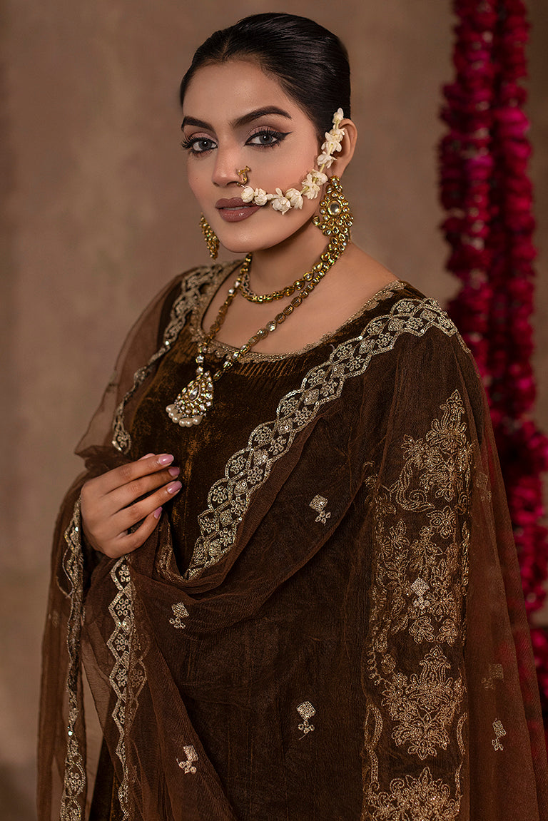 chocolate-brown Pakistani velvet dress
