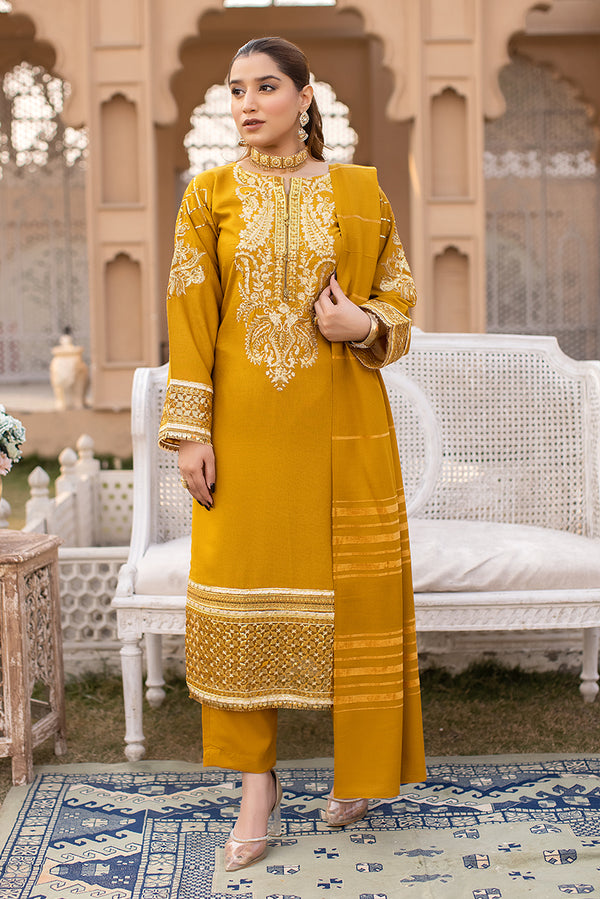 Pakistani Eid Dress