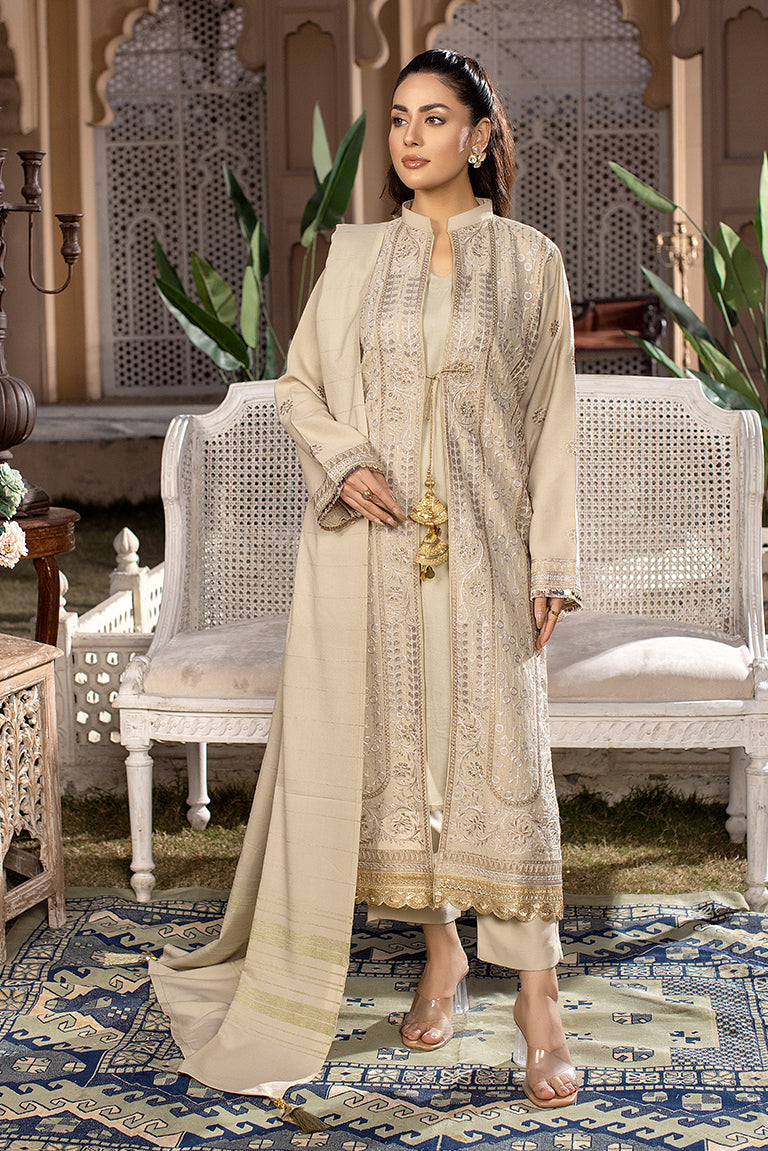 Pakistani Winter Dress