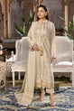 Pakistani Winter Dress