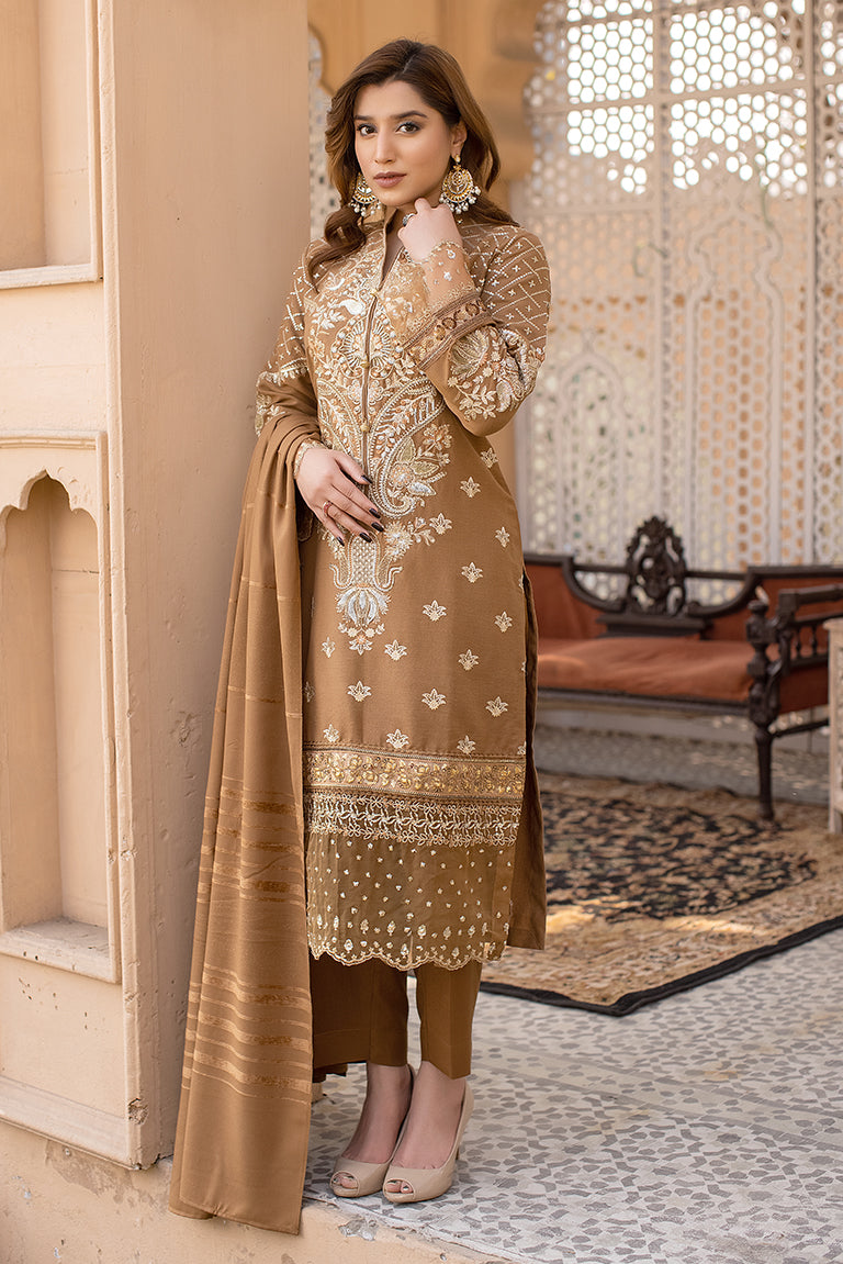 Pakistani Plus Size Dress