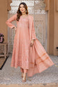 Pakistani Party Wear Dress