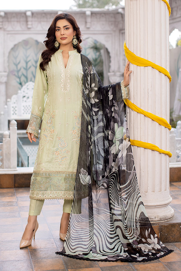 Pakistani Dress