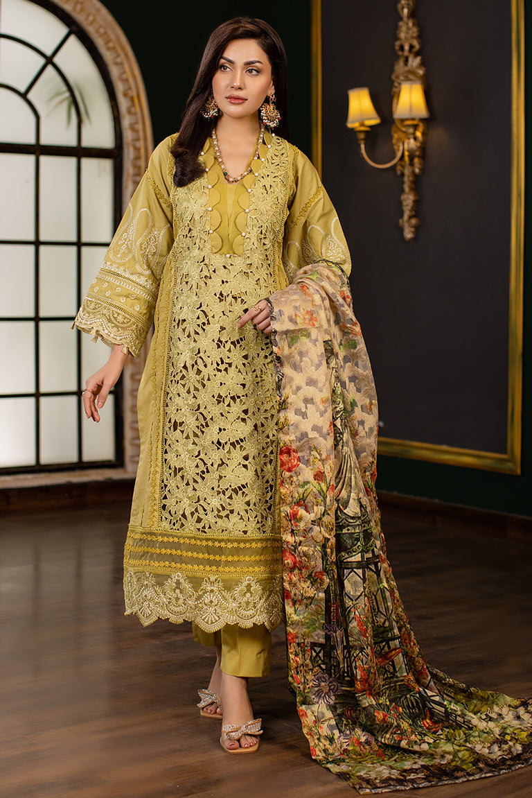 Pakistani Summer Dress