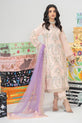 Pakistani Summer Dress