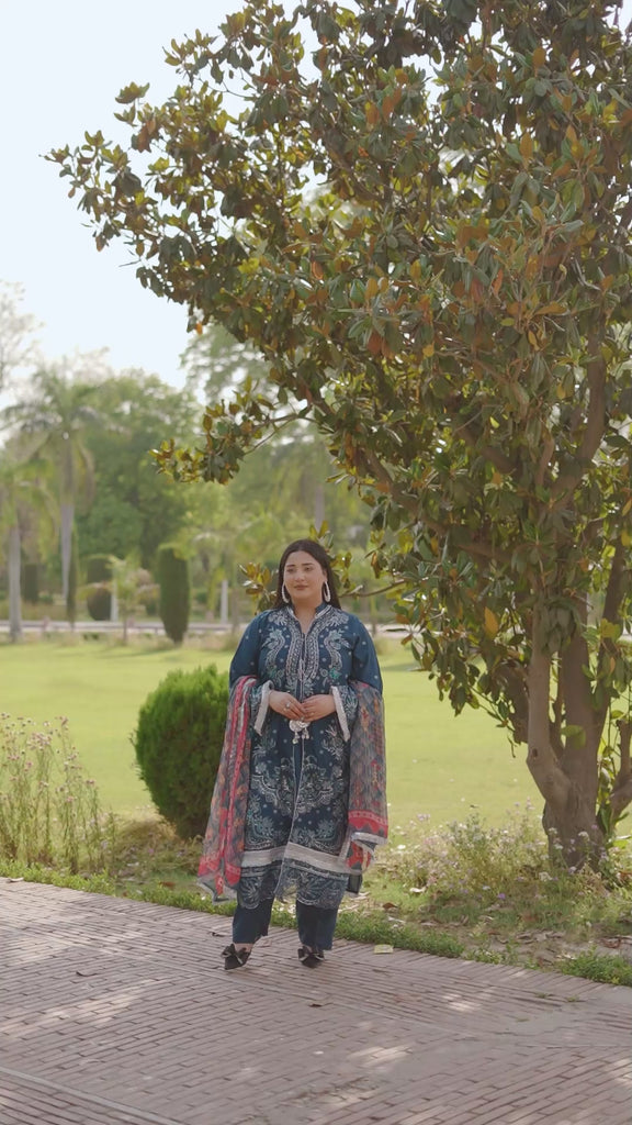 Pakistani Plus Size Dresses 