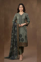 sage green Dhanak suit