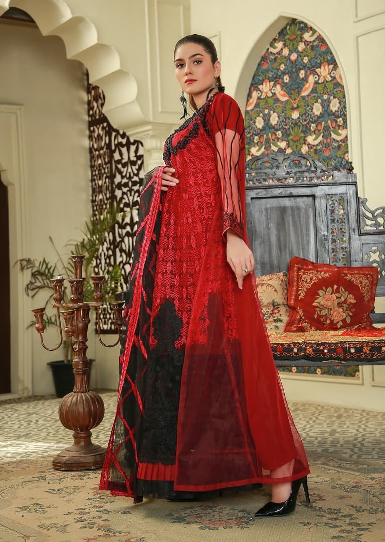 Ramadan Big sale Net Dress On By Rang Jah-SH10 - Rang Jah